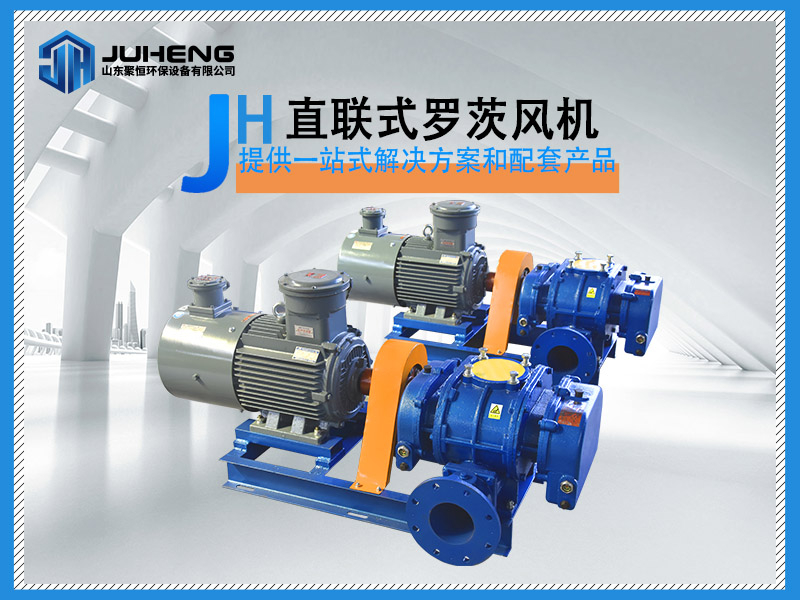 直聯(lián)羅茨風(fēng)機